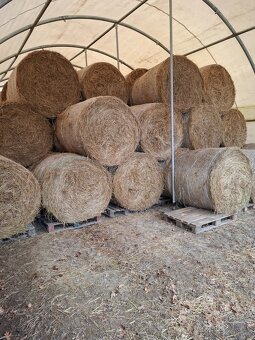 Prodám loňske seno 2024 - 2