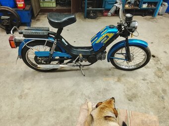 Babetta 210  babeta - 2