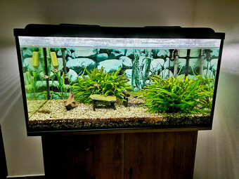 Prodám akvárium - 2