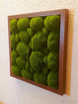 Mechový obraz 33 cm - 2