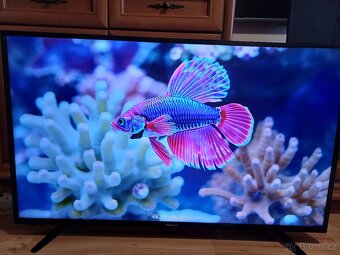 4K Smart TV 50" Hisense H50A6140-úhlopříčka 126cm - 2