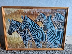 Obrázky zvířat 9 ks - 2