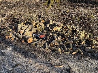 Palivové dřevo štípané - 2