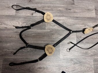 Poprsnik Kentaur Palermo velikost Full - 2