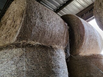 Seno v kulatých balíkách - 2