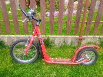 Kostka Kolonka Laser 16 - 2