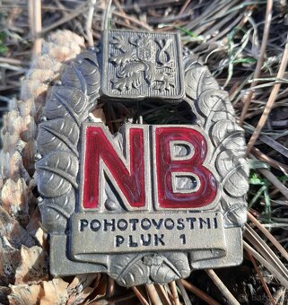 vojenský odznak - 2