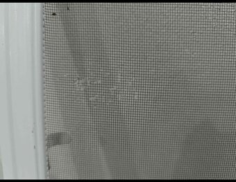 Okenní sítě 4 ks - 2