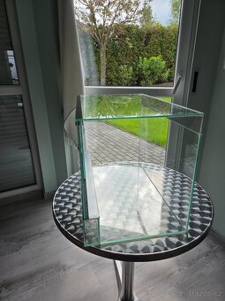 terrarium - 2