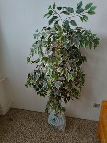 Umělá rostlina - 2