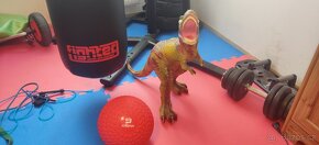 Tyrannosaurus T rex - 58 cm v top stavu. TOP cena - 2