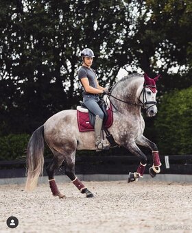 Equestrian Stockholm Bordeaux DL - 2