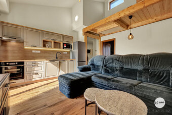 Apartmán se zahrádkou 2+kk u přehrady Olešná - 2