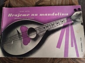 Hrajeme na mandolínu, Kotik - 2