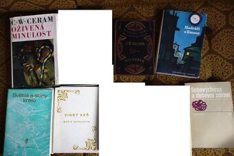 Mix knih, klasika, katolická literatura a další - 2