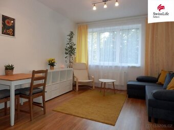Pronájem bytu 1+kk 28 m2 U Cihelny, Jihlava - 2