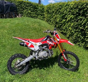 WPB Racer 140 ccm Pitbike - 2
