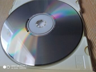 Žlutej Pes - Yellow dog - 2