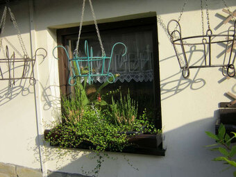 zavěsne květinače,kytky,rostliny - 2
