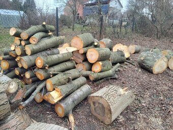 Třešeň - dřevo na uzení - 2