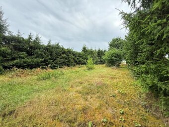 Stavební pozemek 973 m2 – Staré Sedliště, okres Tachov - 2