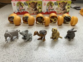 Kinder natoons 2024 - 2