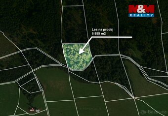 Prodej lesa, 6855 m², Jestřebí - 2