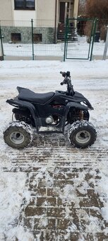 Čtyřkolka 110 ccm - 2
