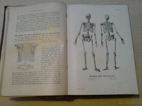 Domácí lékařka z roku cca 1930 - DR. Jenny Springer - 2