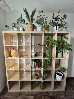 KALLAX policový díl-knihovna - 2