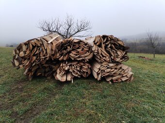 Palivové dřevo - 2