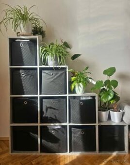 Regál ARIELA 2 - seda - 2