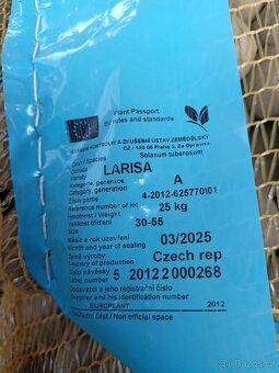 Certifikovaná sadba Larisa - 2