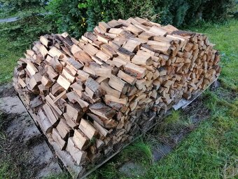 Dřevo třešně - 2