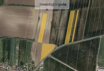 Prodej pole v k.ú. Břežany u Znojma - 2