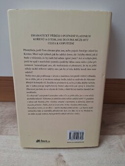 Pravda o tobě - Susan Lewis - 2