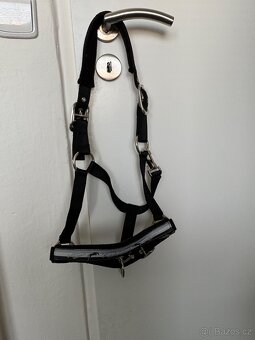 Nová ohlávka a vodítko Kentaur - 2