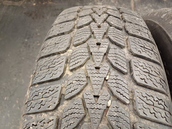 Zimní pneu Dunlop 195/65/15 91H - 2