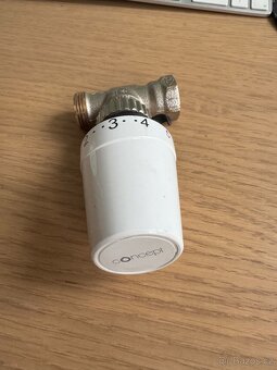 Termostatické hlavice Concept 2 ks - 2