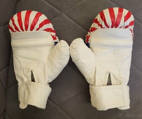 Boxerské rukavice - 2