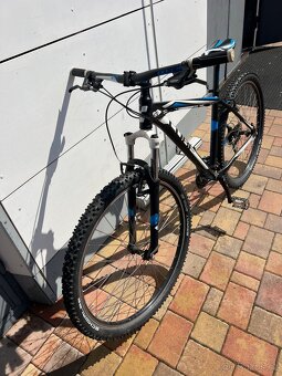 Kolo Cube AIM 29” 19” - 2