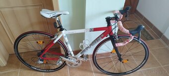 Silniční kolo Spyder Junior - 2