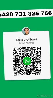 Kärcher Puzzi 10/1 - 2