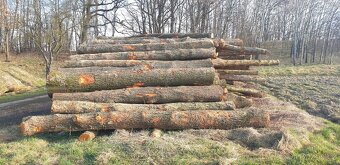 koupím olšovou kulatinu - 2