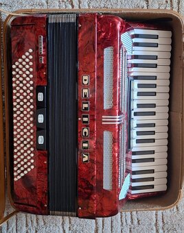 Akordeon Delicia - 2