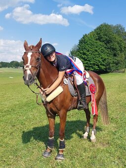 Pony B do sportu - 2