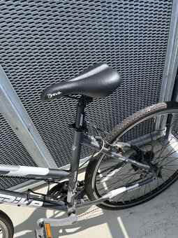 Kolo Maxbike - 2