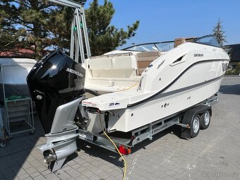 QUICKSILVER Activ 805 CRUISER + MERCURY F 250 V8 EFI EXLPT D - 2