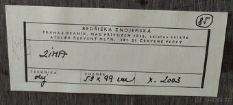 Obraz Bedřiška Znojemská - 2