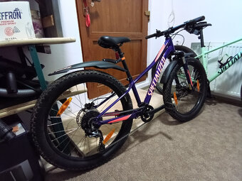 Specialized Rip Rock 24" - 2